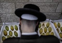Kako se Židovi u Izraelu pripremaju za Sukot